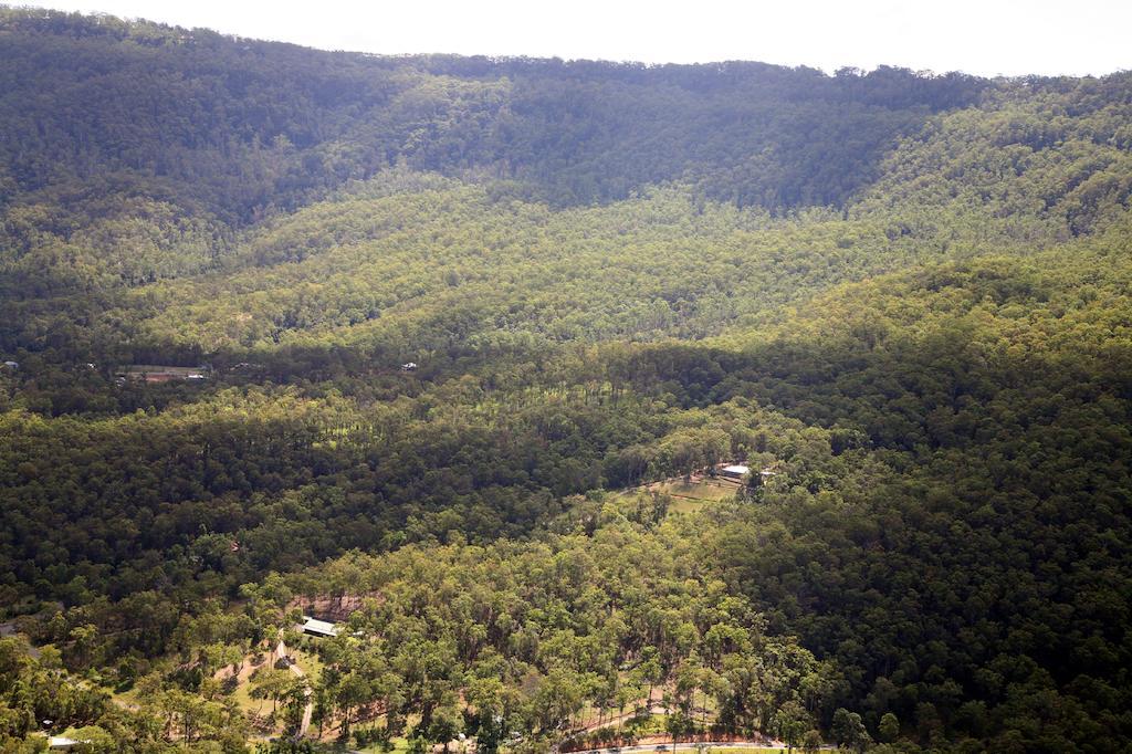 Wallaby Ridge Retreat Mount Tamborine Luaran gambar