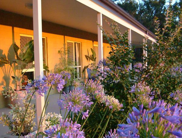 Wallaby Ridge Retreat Mount Tamborine Luaran gambar